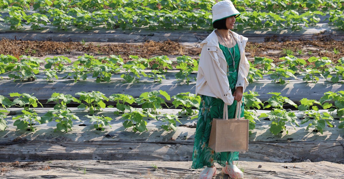 XIII. kerület: társadalmi értékek hajtják az ingatlanárat 2026-ban – Fotó: thAnh nguyễn