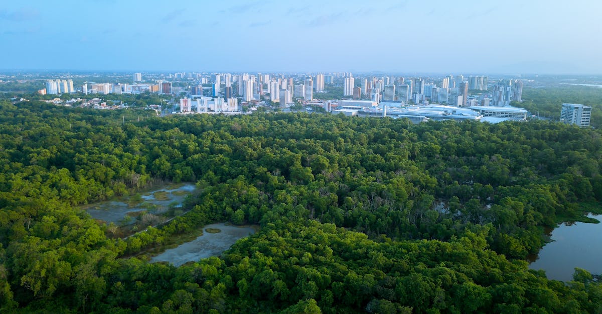 XIII. kerület 2026: fenntartható fejlesztés és vevővédelem Angyalföldön